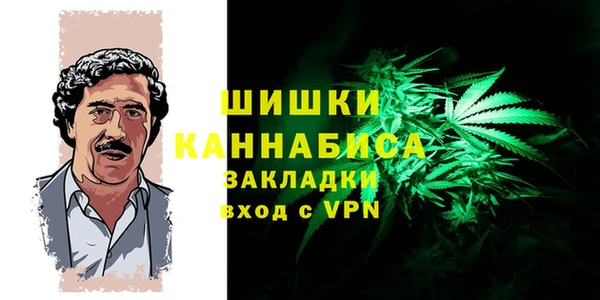 PSILOCYBIN Верхний Тагил
