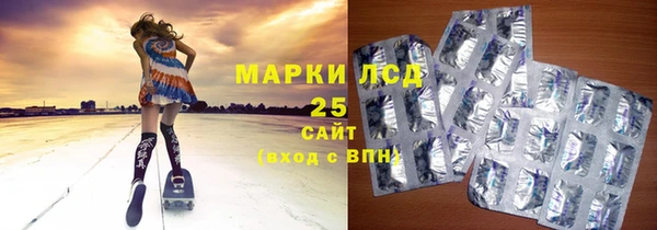 PSILOCYBIN Верхний Тагил