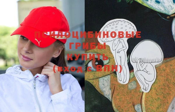 МДПВ Верея