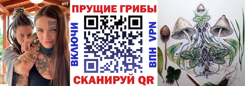 Галлюциногенные грибы Magic Shrooms  Выборг 