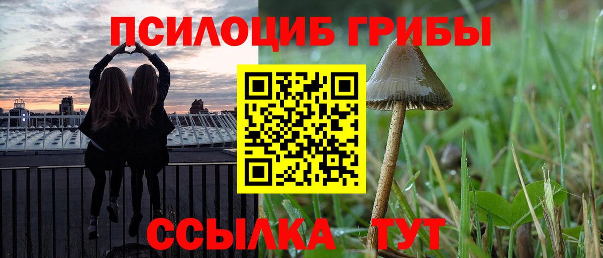 Псилоцибиновые грибы Psilocybe  Галлюциногенные грибы мухоморы  Выборг  Вход с VPN 